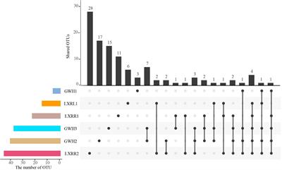 Diversity and Distribution of Anaerobic Ammonium Oxidation Bacteria in <mark class="highlighted">Hot Springs</mark> of Conghua, China